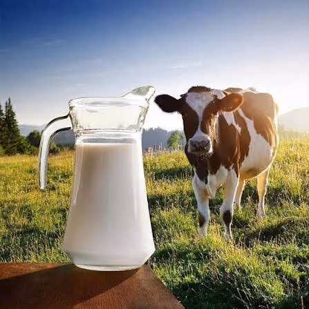 Milk