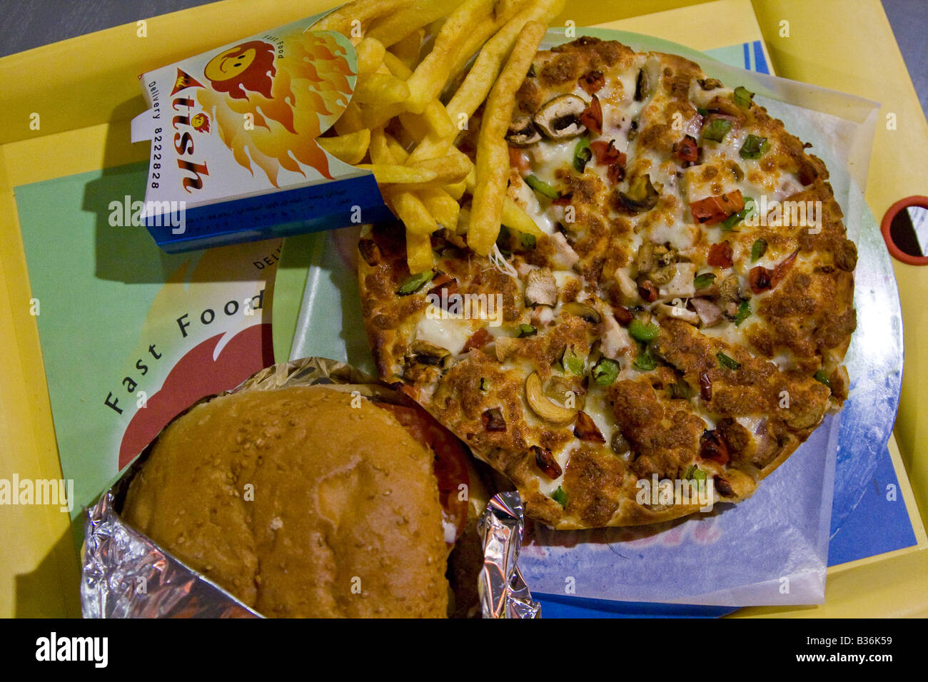 Q.K Pizza Cheese Fries